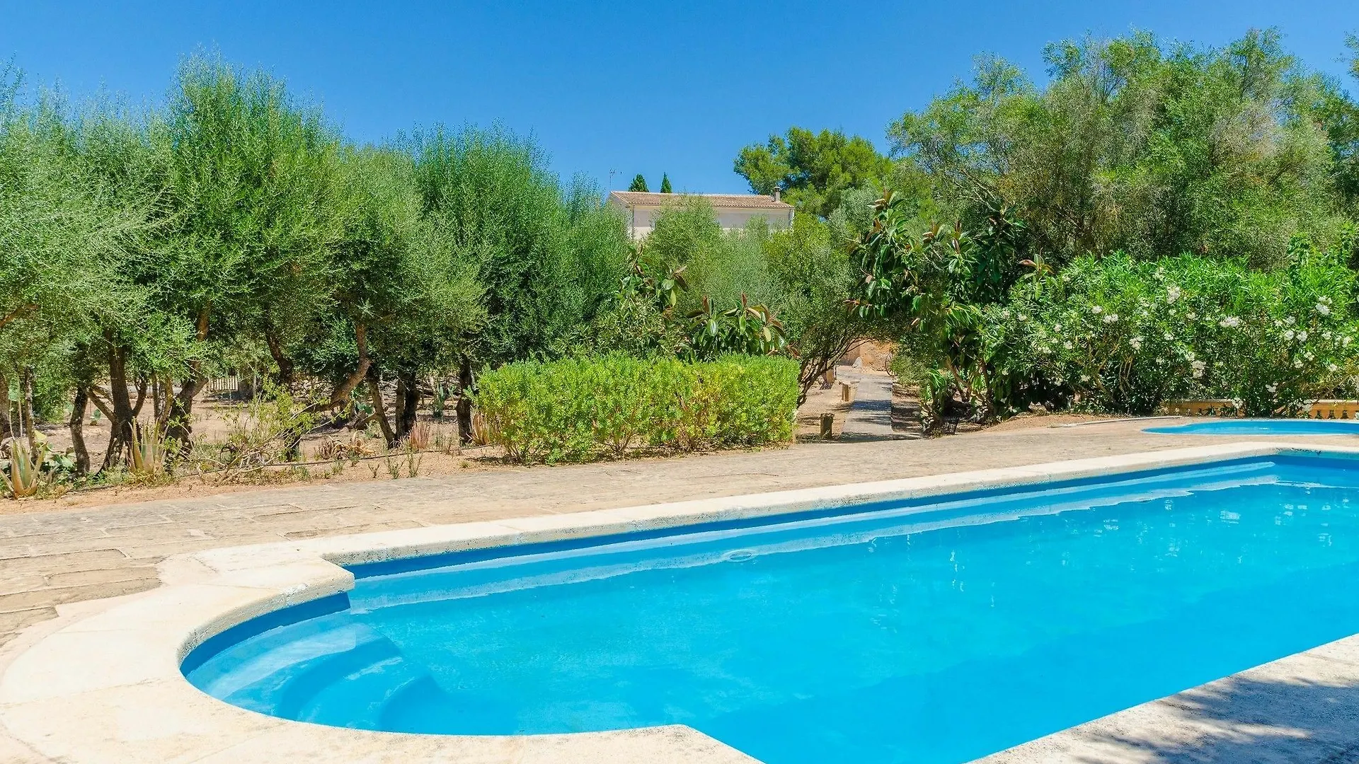 Apartament Son Sureda Manacor